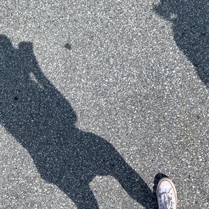 Meet your Posher, Gracie